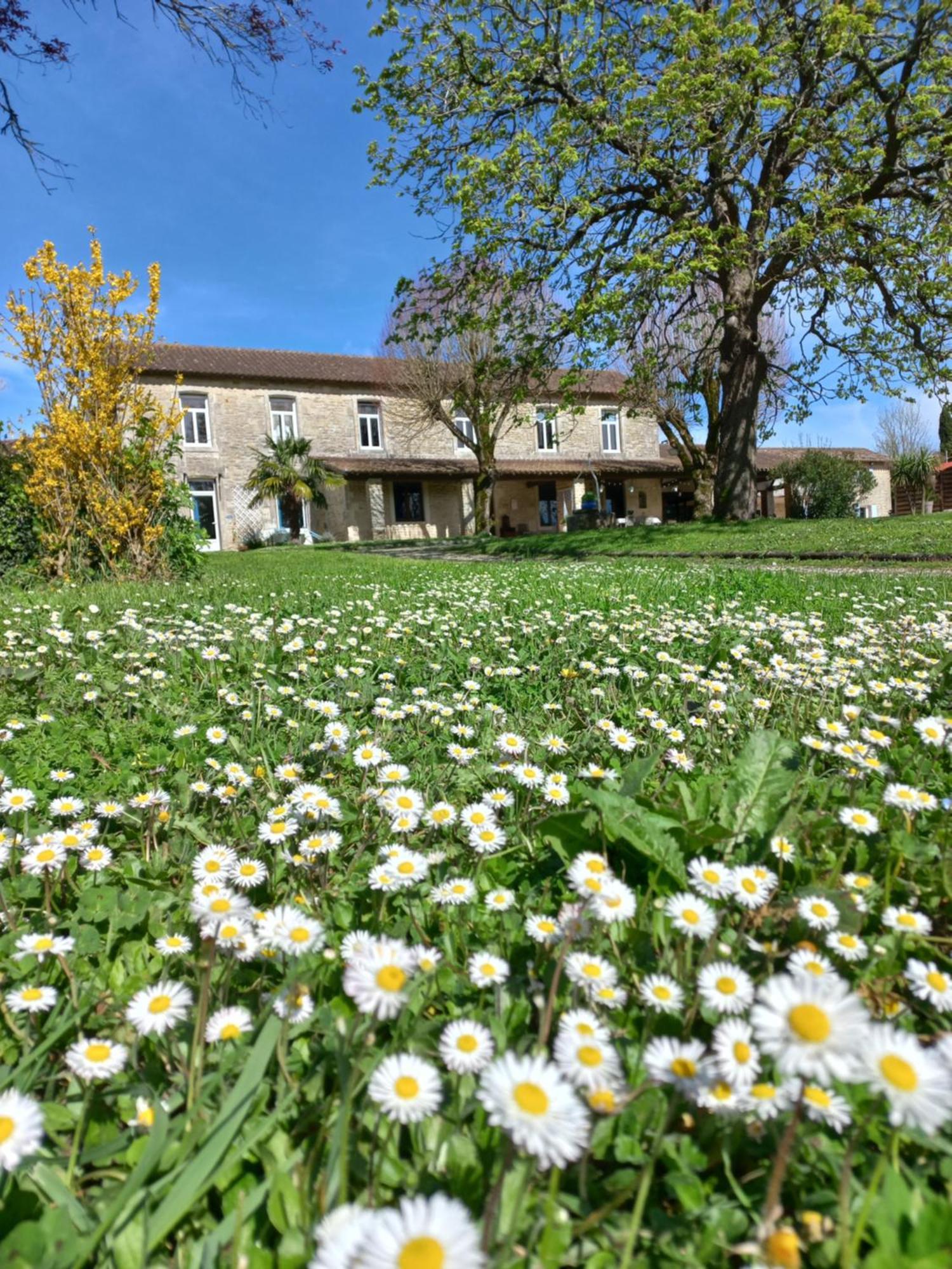 Domaine De Fontsauzine - Gites Et Chambre D'Hotes Genouille  Kültér fotó